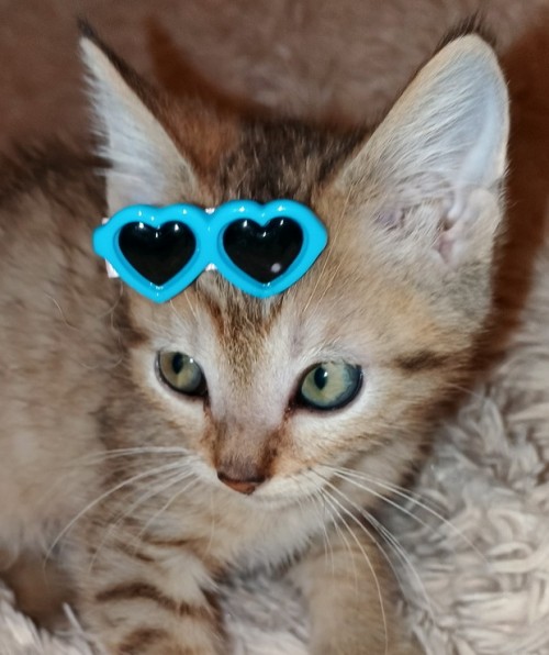 Мальчик от Жу-Жу