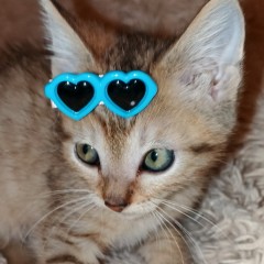 Мальчик от Жу-Жу