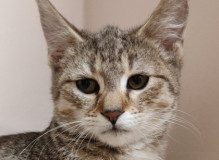 IMG_20241025_210244.jpg
